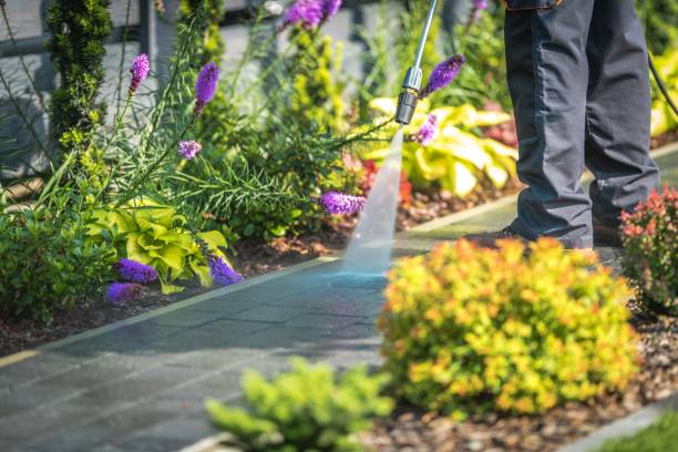 Best Residential Pressure Washing in Sun City, AZ